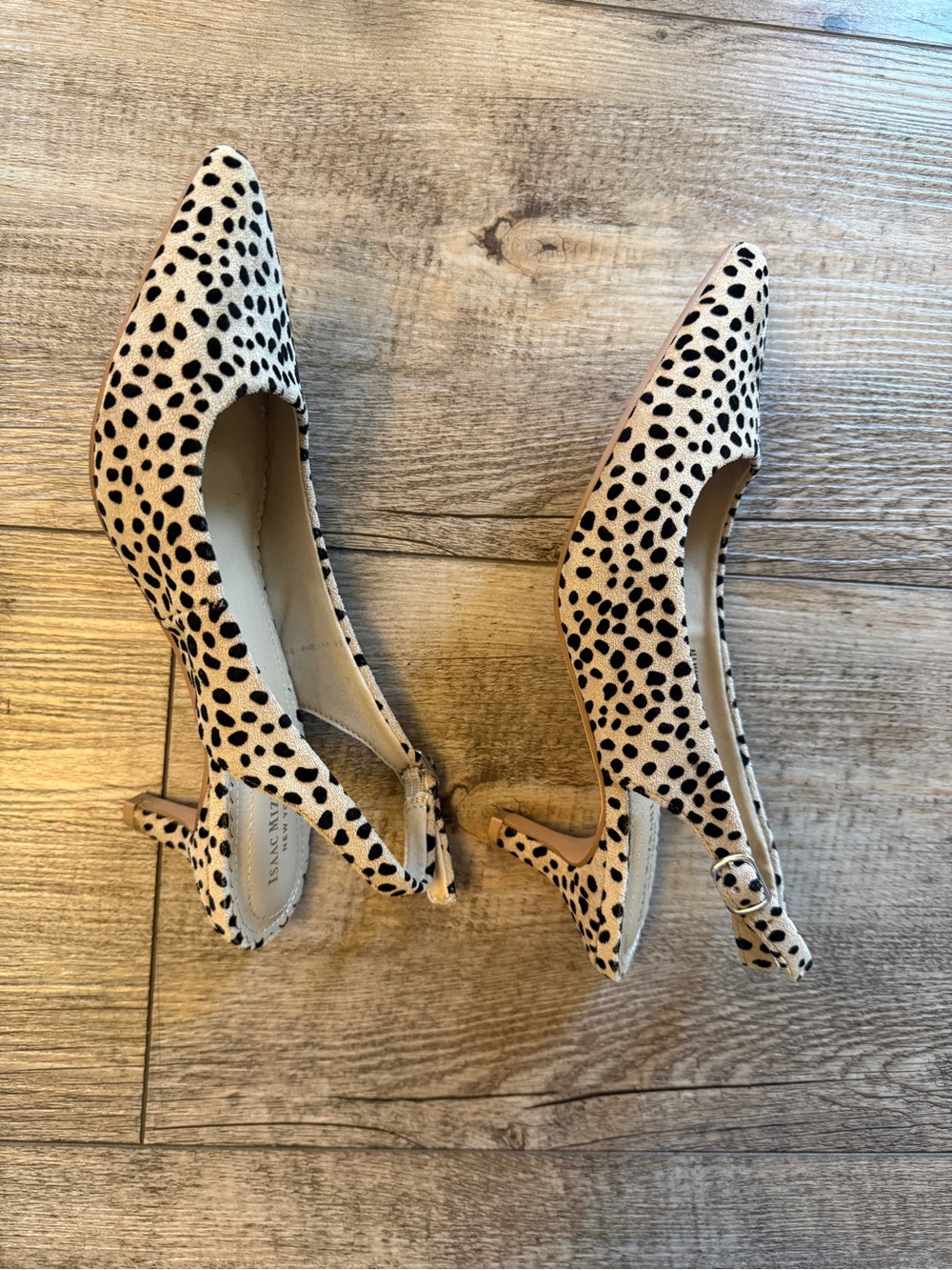 Isaac Mizrahi Cream and Black Polka Dot Pointed Slingbacks - Picture 4 of 6